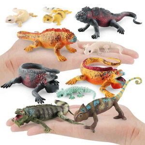 tBMA LbY A I \bh m gJQ  JI qE ঒ PVC  ͌^ u  ώ@ RNV ̂ЂTCY CeA