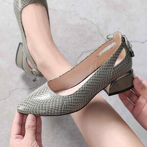 pvX fB[X {v v U[ pC\ ^ |CebhgD 󗚂 `L[q[ \tgU[ \tg\[ Xb| JWA ItBX tH