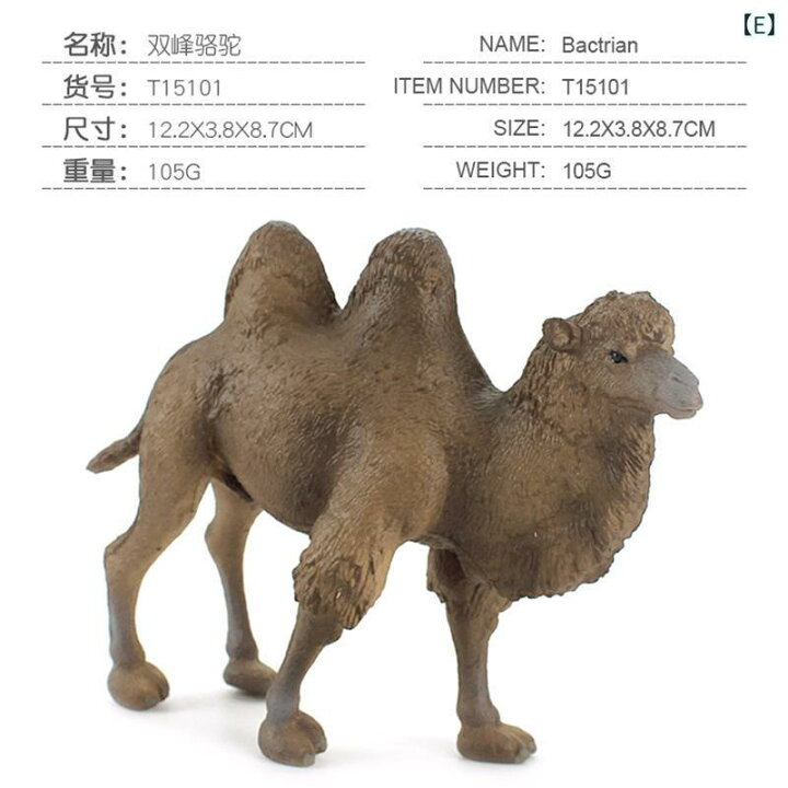 楽天市場】動物フィギュア リアル 精巧 砂漠の動物 ソリッド 置物 