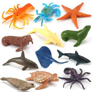 CmtBMA A I ~j`A y vX`bN i Jj uX^[ E~K CJ ^R C̐ ͌^ u IuWF  q mߋ wK  V