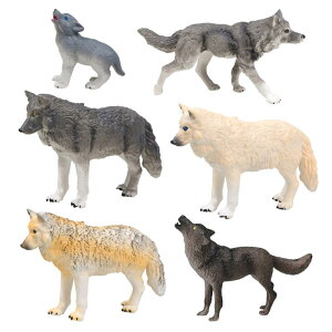 tBMA PVC \bh Cf A I IIJ~ nCC V mߋ CeAu IuWF 쐶 RNV q c X^eBbNf