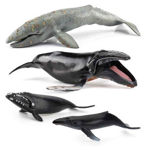 ͌^ q A I UgENW tBMA ^ M Cm  PVC u IuWF ӏܗp rO  CeA RNV