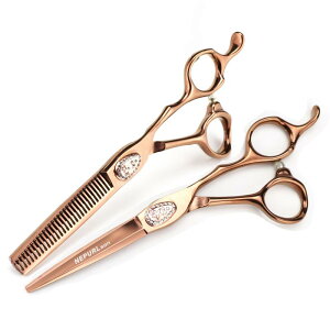 eVU[ vp uYS[h 6.0C` Xg[g ZjO ؂ꖡQ  ϋv wAJbg U et T Ɩp nT~Zbg