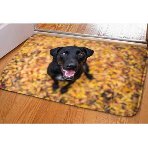 tA}bg tl ӂӂ ~ ` 40x60cm 􂢉\ ƒp  rO Q  Lb`  q 킢 DIY JX^}CY