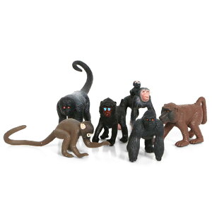 tBMA q LbY AȖ쐶 ~j\tr \bh `pW[ S  6̃Zbg 6-10cmTCY u IuWF mߋ