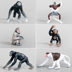 tBMA LbY qp mߋ PVC A eq S[fL[ eOU `pW[ LclU X^`[ IuWF CeA