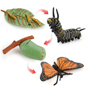 mߋ LbY  TCN  NK^ ̃f tBMA Zbg ώ@ wK Ȋw ̐i Fm\͈琬 A PVC 킢 IuWF