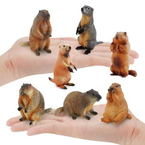 tBMA LbY q }[bg X V}X 쐶 I A ~j`A u IuWF RNV WI} CeA PVC mߋ