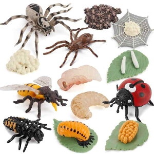  LbY q mߋ wKߋ ߒ CtTCN Ԗ͌^ ώ@  N egEV ~co` ^` A PVC vX`bN tBMA Zbg 4 5 6 ct