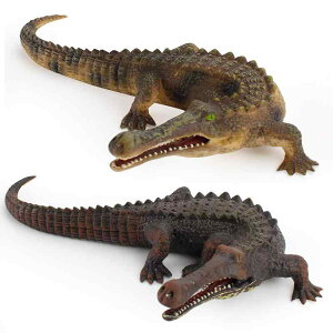 tBMA LbY j̎q PVC A I j[N j O[ ubN Ñԃf ~j`A WI}  CeA u IuWF RNV mߋ 