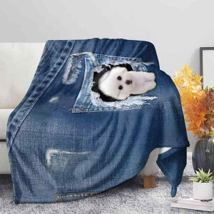 ѕz LbY qp IWivg ʐ^ ӂӂ _Sn ^IPbg gx sp uPbg |GXe tH _ Vv(x2)