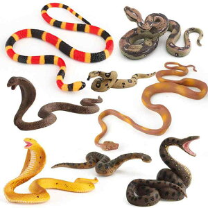 tBMA q A \bh ঒ wr Ru LORu jVLwr IIjVLwr AiR_ TSwr Ńwr ͌^ u  ߋ PVC CeA