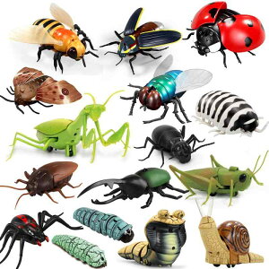  R WR A ͌^  W[N hbL N SLu PV J}L ob^ b L p ybgߋ