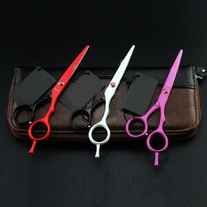 enT~ vdl ؂ꖡQ Jt Ăth 18cm 7C` Xg[gVU[ ZjOVU[ XLoT~ et et Jbg Up sN ubNbh ubNz
