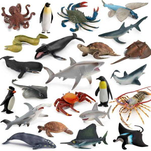 CmtBMA q A zzWU WxGU E~K yM CJ ^R Jj GC T C̐ ~j`A PVC 4 5 6 c mߋ