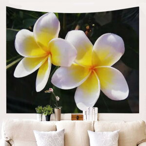 ^yXg[ _ t[ A {^jJ CeA Ǌ| EH[fR[V wiz rO Q  ֑  |GXe \