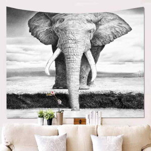 ^yXg[   Ǌ| GXjbN AWAeCXg n |GXef ` rO Q   CeA   킢 ăX^C