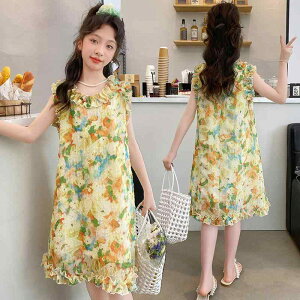 s[X ̎q K[Y WjA ĕ ؍  킢 VtH ԕ t m[X[u AC i o ʊw ][g   q