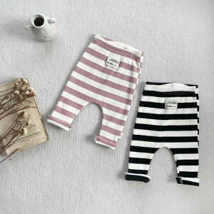 xr[MX ̎q Lk XgCv  Rbg pc ؍   tH o  [EFA 킢