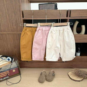 LbY jp pc 100%  Y{ tH JWA  킢 \tgȔG EGXgS c 80cm 90cm 100cm 110cmΉ sN AvRbg uE