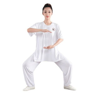 太極拳服 中高年 シニア 男女兼用 ユニセックス 軽量 通気性 上下セット セットアップ 武術服 演武服 発表会 練習着 稽古着 中国風 春夏 Vネック ラウンドネック