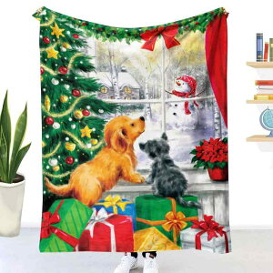 uPbg tl  3Dvg  Q Ђ| ~p |GXe ӂӂ  ĕ  F(x2)