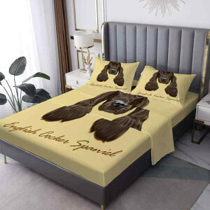 QJo[Zbg s[`XLH N  |GXe {bNXV[c xbhV[c Aj}  hbO ׃vg Jo[ 4_Zbg Q  wp 킢 