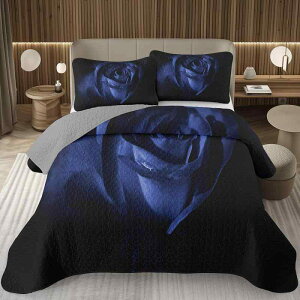 xbhJo[ 3D fW^vg LeBO [Y 3_Zbg k |GXef  Q I[V[Y 􂦂