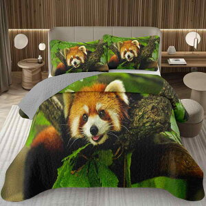 xbhXvbh O_Zbg ACO} 3DfW^vg LeBOH k  CeA |GXef 􂦂 Q I[V[Y