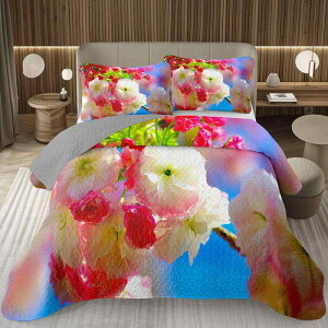 xbhJo[ 3_Zbg kfUC t N₩ ԕ 3DfW^vg LeBOH |GXef Q ƒp \ xbh[ 