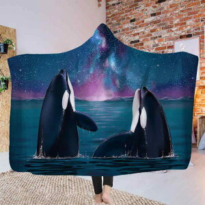 ѕz LbY qp t[ht g h ӂӂ tl TSt[X  |GXef CJ [EFA |` }g KE(x2)