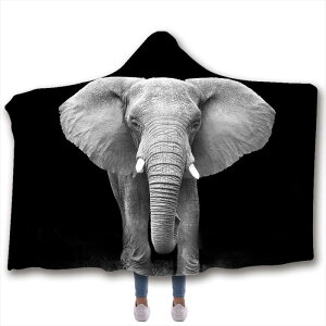 uPbg LbY qp t[ht |` ѕz Qѕz Ђ|  Gt@g  t[X tlf  h΍ Vv JWA H~ |