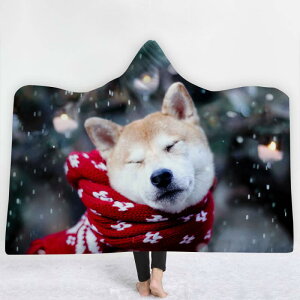 uPbg LbY qp ybgp t[ht |` P[v   h tl \tgt[X fW^vg [EFA  Vv _ ~p(x2)