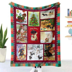 ѕz xr[  V[v{A tl   [΍ GAR΍ p hbO ybgp Ђ|   \t@Jo[ 5 tďH~(x2)