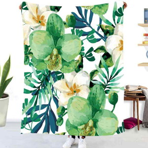 uPbg }CNt@Co[ ʃtl A T{e Xe [΍ Ђ| \t@Jo[ @p |ѕz t AJX^C(x2)