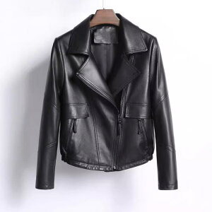 vW fB[X C_[XWPbg V[g {v rv U[ u] AE^[ ؍t@bV JWAX^C ݕt |Pbg t@Xi[J   [