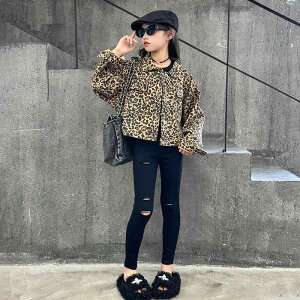 LbY ̎q tH fjWPbg qE V[g AE^[  JWA ؍ 킢 rbO|Pbg  w w WjA _炩f