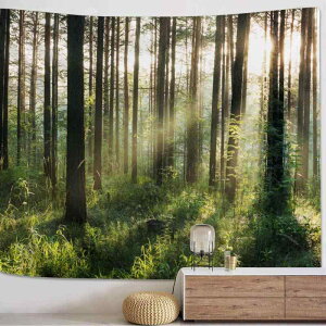 ^yXg[ k |GXe@ X ؕ Ǌ| EH[fR wi rO Q xbh[  q  ₵ CeAG