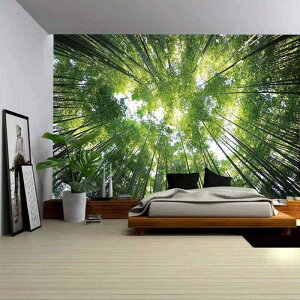 ^yXg[ Ǌ| CeA ΖLȎR X  i 3Dvg EH[A[g k  􂦂 rO Q q  ^