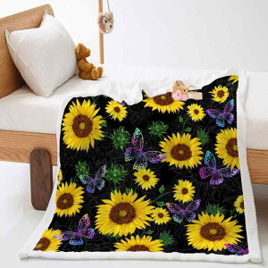 ѕz uPbg  V[v{A NX^xxbg }CNt@Co[ _{^jJԕ  g ӂӂ  rO Q |ѕz Ђ|