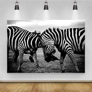 ^yXg[ [u 3DfW^vg Ǌ| EH[fR[V |GXef I[_[Ch Q rO  q  _ CeA  唻(x2)