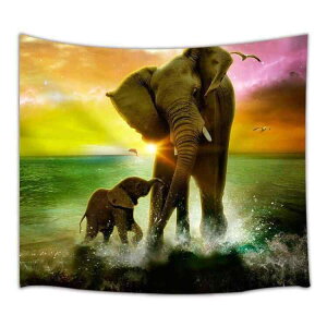 ^yXg[ Ch }_ wfB wi͗l T{e ` EH[fR[V Ǌ| z[fR[V CeA |GXe @ ` ĕ r