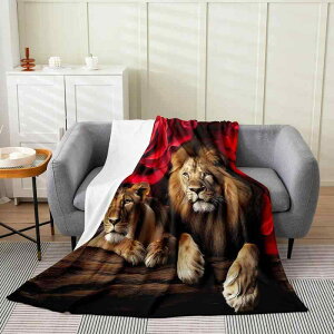 uPbg jp _炩 G K ۉ tl At@xbg I[V[Y k |GXe 唻 Ђ|  rO \t@Jo[