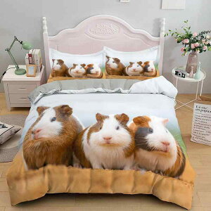 |zcJo[ 3_Zbg 킢 bg nX^[ ybg  Aj} |GXef fW^vg LgH QZbg q