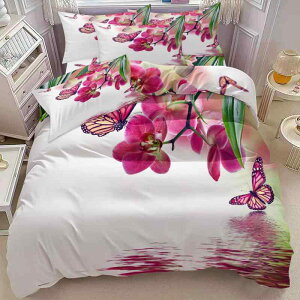 zcJo[ fW^vg s[`XLH X ԕ l킢 3_Zbg Jo[t |GXe D xbhl Qp