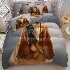 zcJo[Zbg 3_Zbg fW^vg Aj} 킢  _ Vv |zcJo[ Jo[ s[P[X s[`XL |GXe 炩G  Q