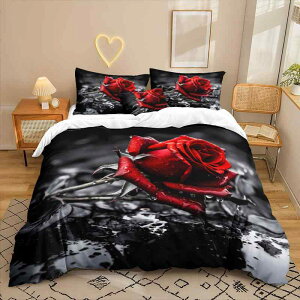 Q 3D fW^vg [Y ԕ |GXe xbhl zcJo[ tbgV[c O_Zbg _ Vv I[V[Y 􂦂 Q qp Z~_u _u NC[