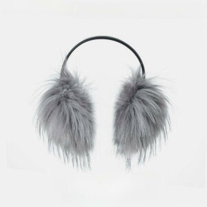 C[}t fB[X H~ h ۉ  ӂӂ tFCNt@[ wbhoh  n Vv lp AEghA X|[c TCNO o ig