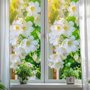 KXtB ڒܕsv ÓdCz pV[g WX~vg ȕ͋C ډB UVJbg _ rO Q  fR[V  ȒP\t(x2)