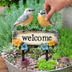 K[fsbN 킢  EFJ vX`bN PVC  fR[V   K[fjOG  GgX I[ig ʂȐF J[gD[ O ϋv